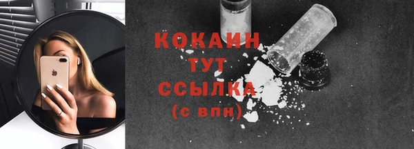 дмт Переславль-Залесский