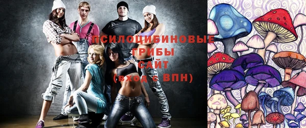 дмт Переславль-Залесский