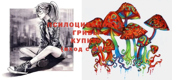 мет Осташков