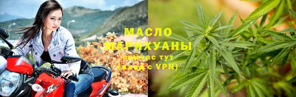 мдпв Осинники