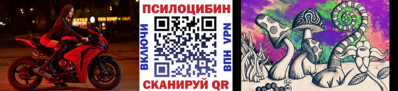 Купить закладки  Усть-Джегута  Псилоцибиновые грибы мицелий 